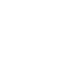 Veterinary medical report